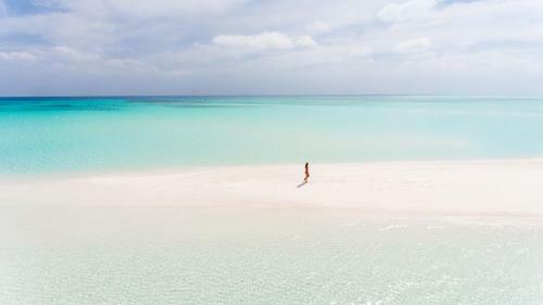 Hostal Olive Goidhoo