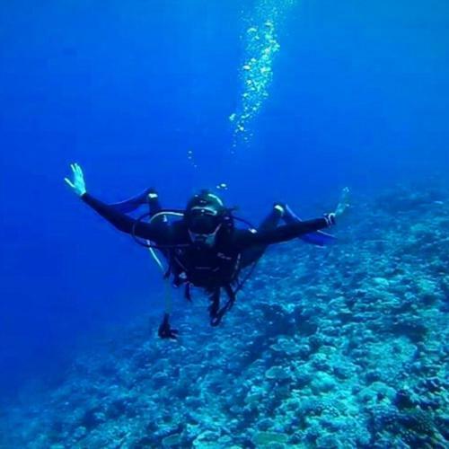 Hostal Sundive Lodge Maldives