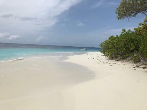 Hostal Sundive Lodge Maldives
