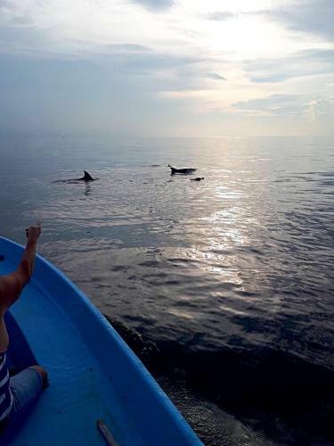 Hostal Sundive Lodge Maldives