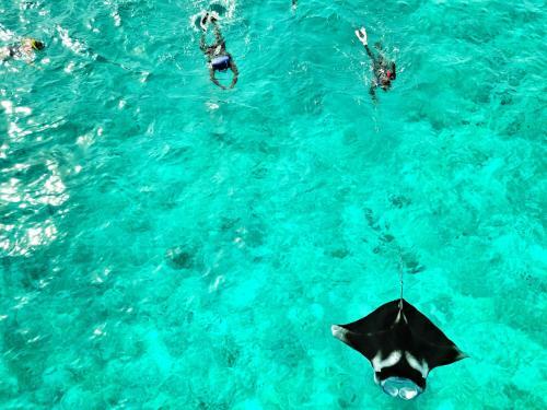Hostal Athiri Beach Maldives