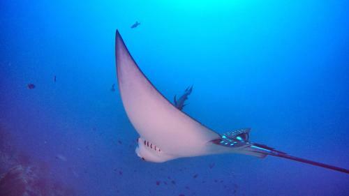 Hostal Athiri Beach Maldives