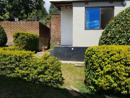 Bed & Breakfast Chinyonga Guesthouse