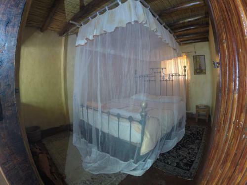 Mufasa Eco Lodge