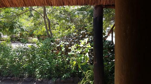 Mufasa Eco Lodge