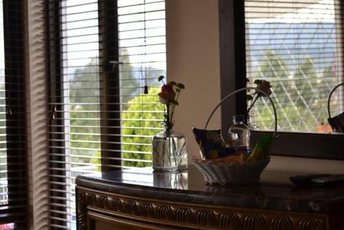 Hostal Miravalle Suites