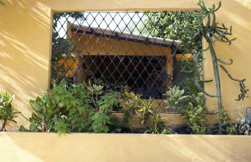 Villa Mandela Hostel Casa Mojito