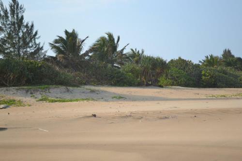 Austral Hotel Farafangana