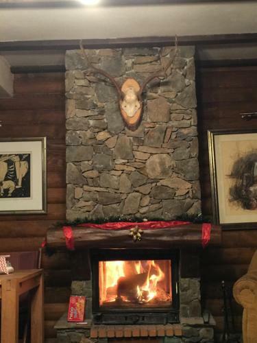 Perfect Lodge House Mavrovo