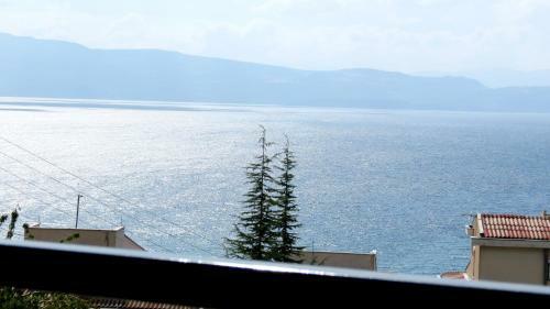 Hostal Villa Angelos