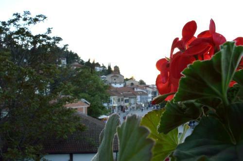 Hostal Vila Mostrovi
