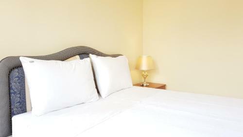 Golden Delight Central Apartment
