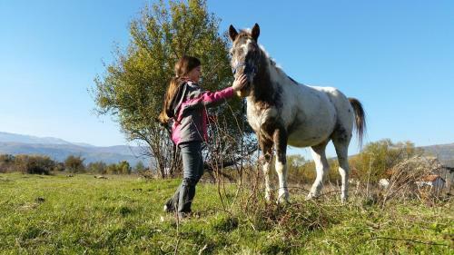 Agroturismo Nora`s Ranch