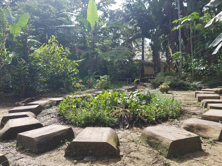 Hotel Omshanty Jungle Lodge