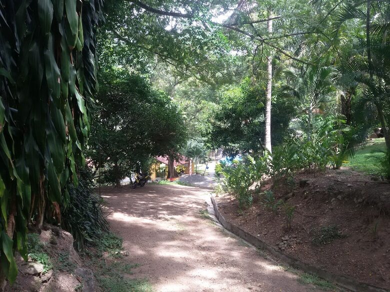 Hotel El Tesoro