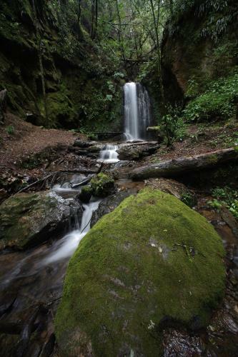 Centro Ecotur�stico Caba�as Never�a