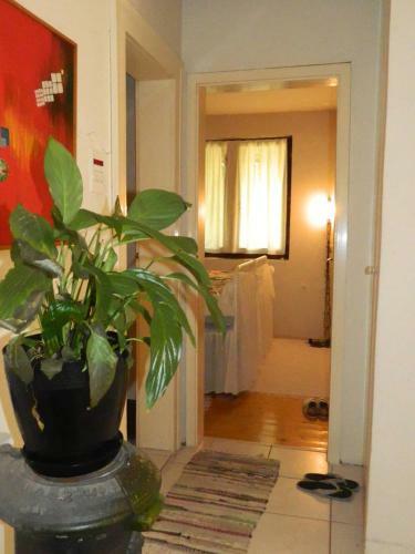 Agroturismo Canyon Matka Nature House