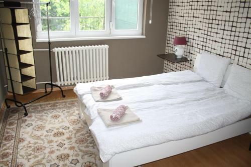 Iti Apartment