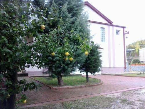 Villa Bis