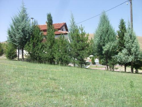 Villa Bis