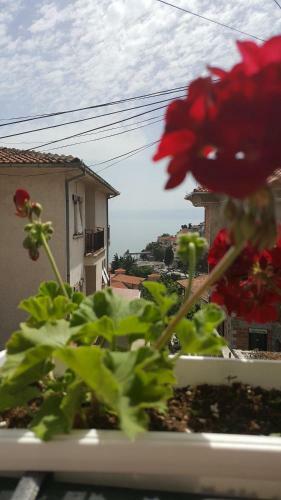 Hostal Villa Srma