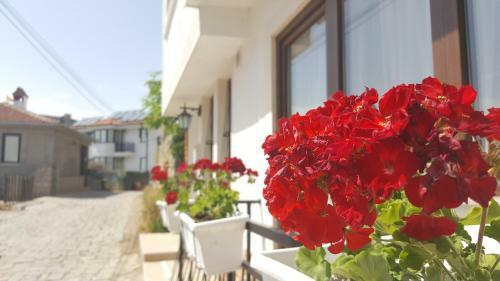 Hostal Villa Srma