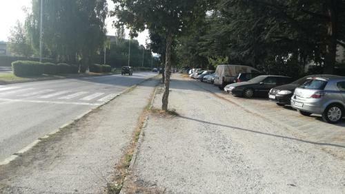 Apartment Zimovski Ohrid