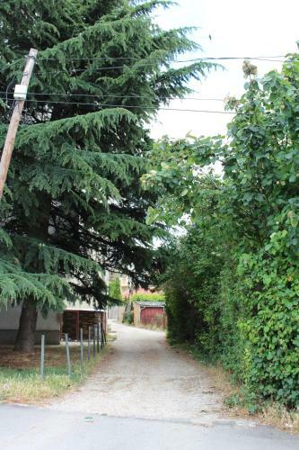 Two Bedroom Apartment Near Centre