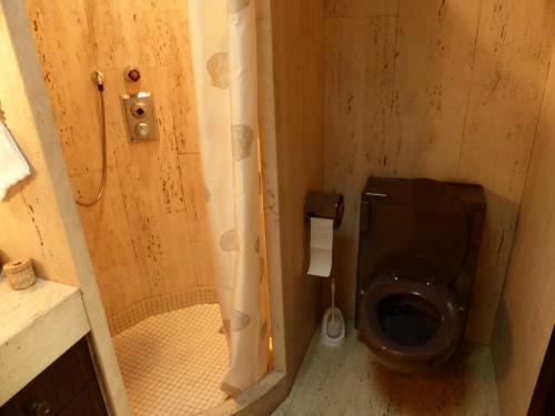 Penthouse Apartment In Vaduz