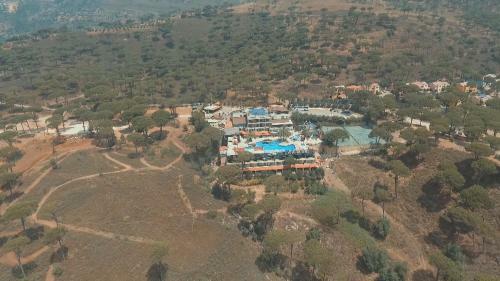 Pineland Hotel And Health Resort