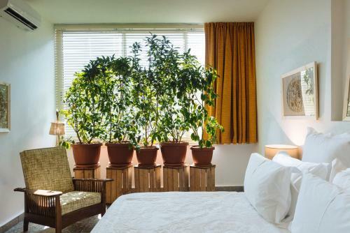Hostal Beit El Tawlet