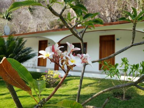 Hotel Y Club Campestre Altos Paraiso
