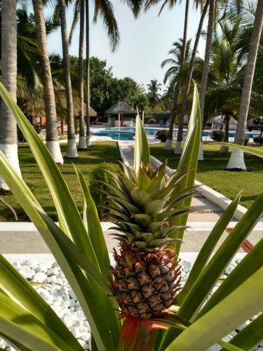 Hotel Y Club Campestre Altos Paraiso