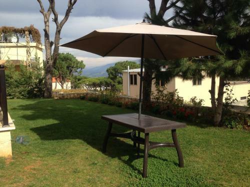 Hostal Honey Guesthouse