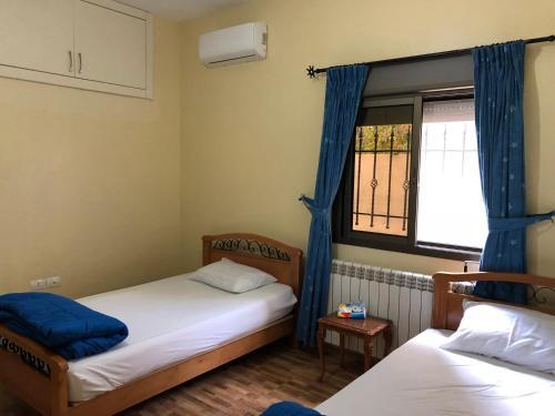 Hostal Honey Guesthouse