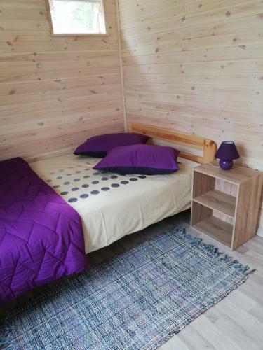 Camping Zvejnieks?ta