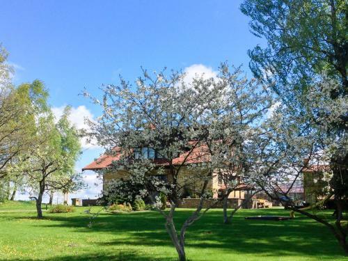 Hostal Viesu Nams Sidrabi