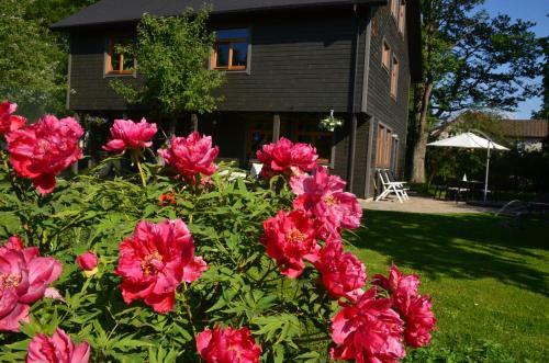 Hostal Pilava