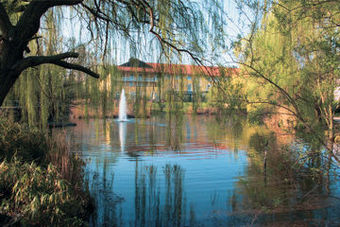 Steigenberger Hotel Deidesheim (only Atlas)