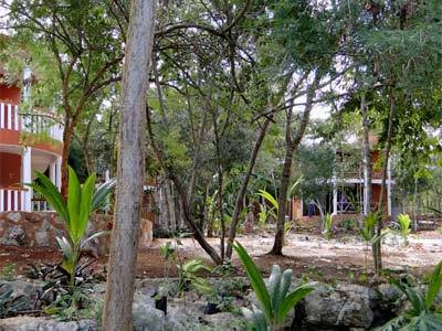 Eco-hotel Nueva Altia