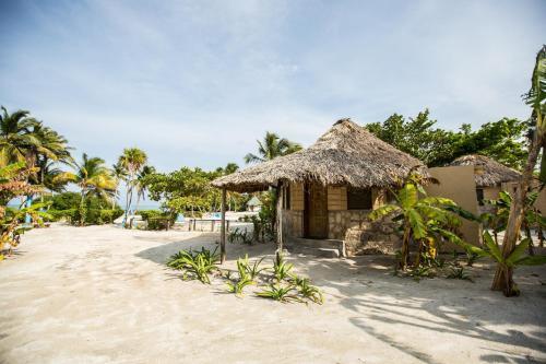 Costa De Cocos