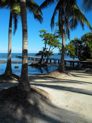 Costa De Cocos