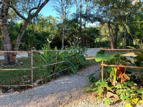 Ecolodge Resort Naha - Selva Lacandona
