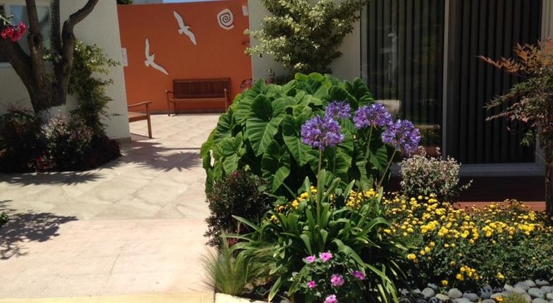 Hotel Dali Suites