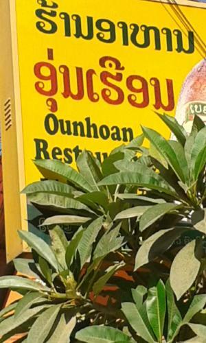 Hostal Thip Phavan Guesthouse
