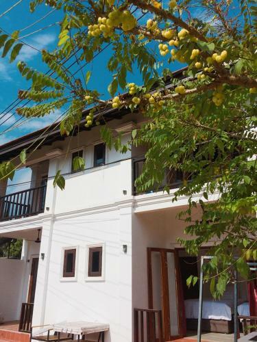 Hotel Moonlight Champa Riverview