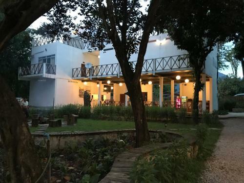 Hotel Magic Monkey Garden