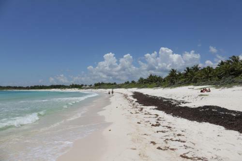 Cavelands In The Jungle