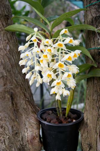 Hotel Estancia San Jorge