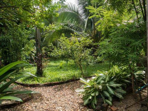Bed & Breakfast Sala Thongyon